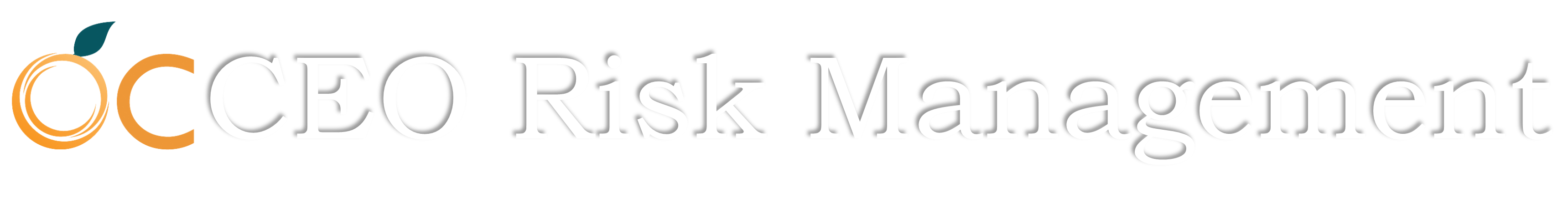 CEO Risk Management